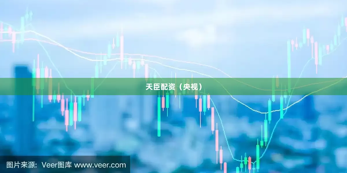天臣配资（央视）